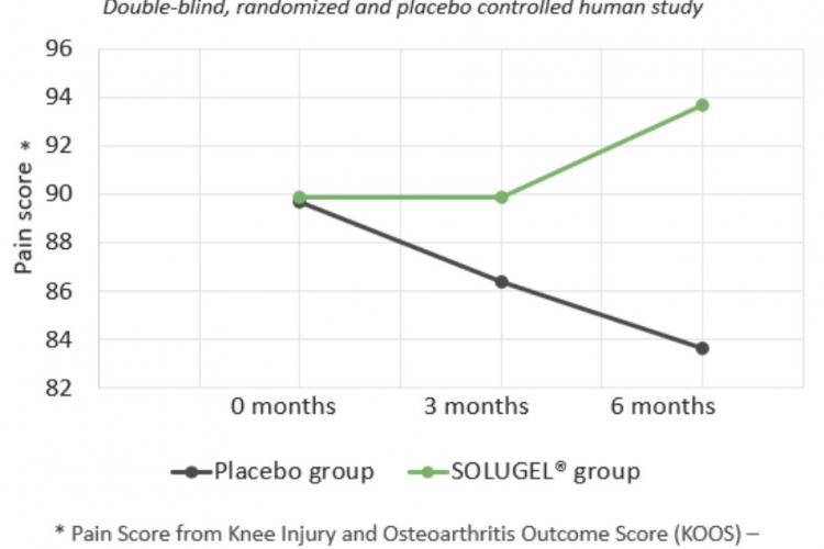 Solugel reduces joint pain.jpg